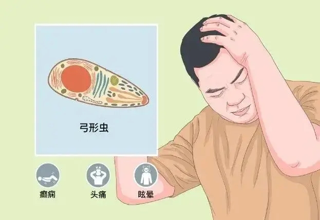 郑州军海医院靠谱不丨别把不同癫痫发作搞混了!记住这些表现，快速区分不混淆