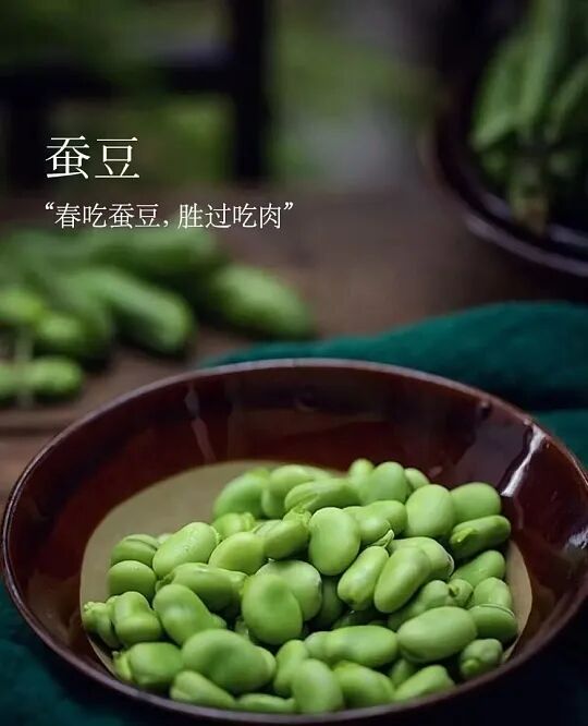 郑州军海怎么样丨春天吃这种食物，血管干净、大脑灵活!现在正是时候